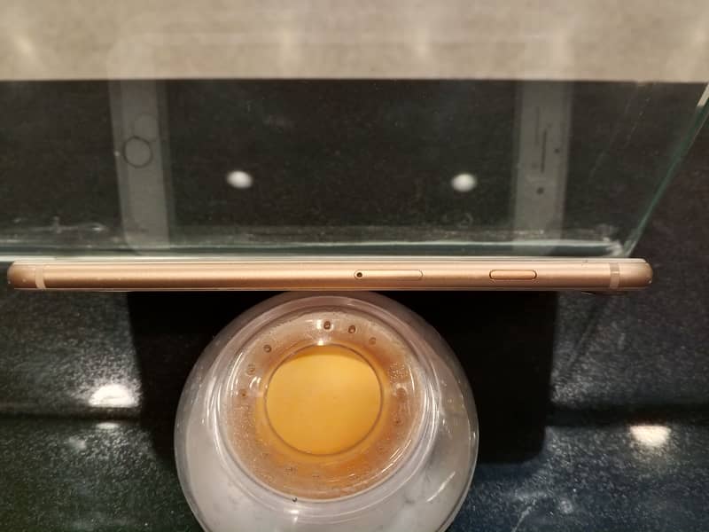 iPhone 8 Plus 5