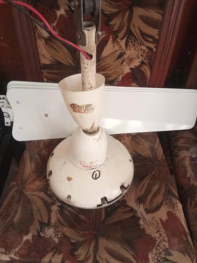 2 GFC and 2 Royal ceiling Fans 100% Copper wind Alloy body.