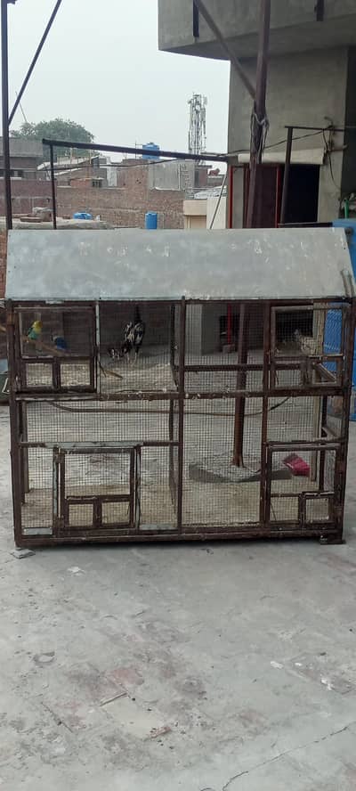 Birds Cage 03194424975