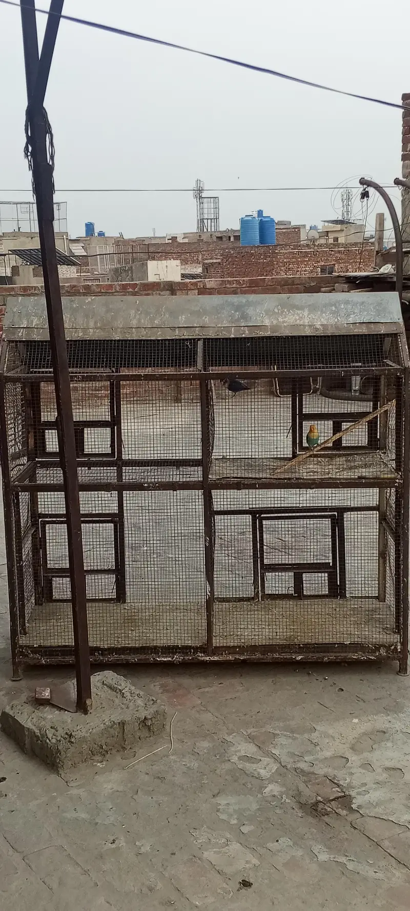 Birds Cage 03194424975 — photo 2
