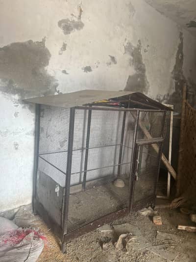 Hen Cage