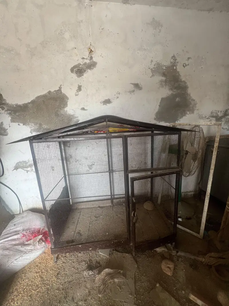 Hen Cage — photo 2