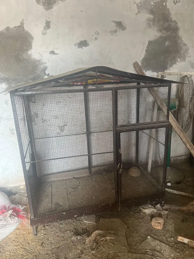 Hen Cage — photo 3