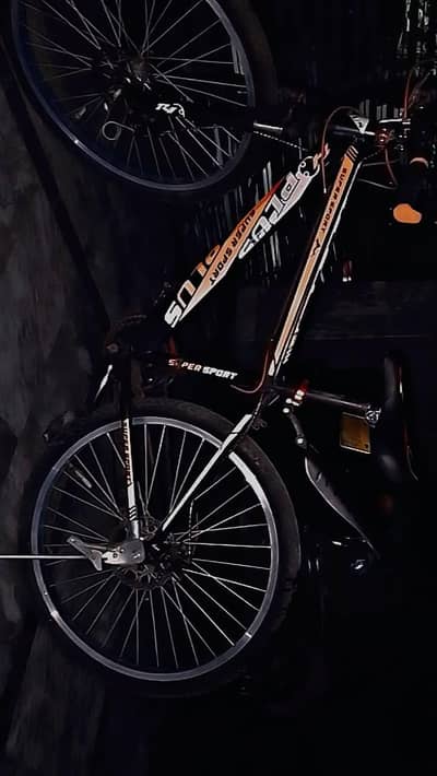 Plus mountain bicycle
