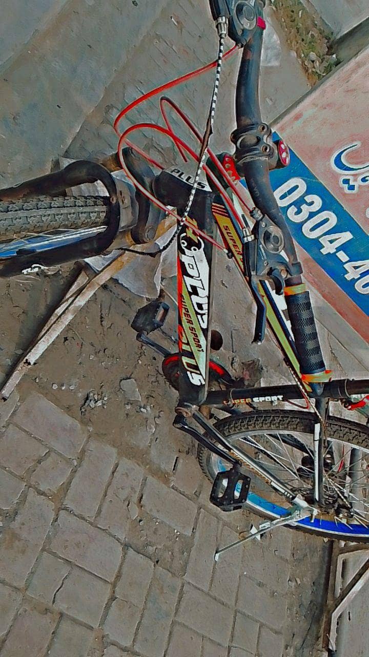 Plus mountain bicycle 1
