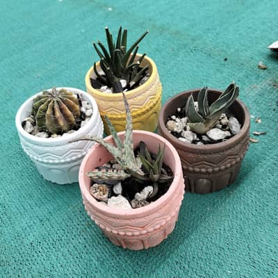 pots and show piece