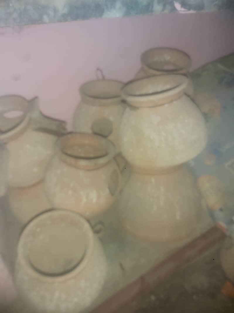 finch matki 2