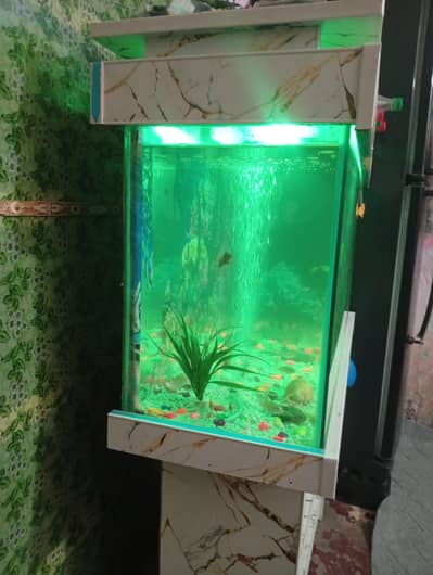 aquarium sale