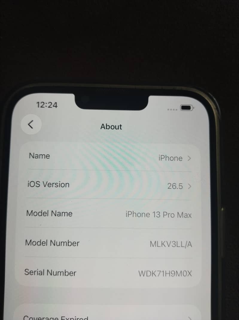 Apple iPhone 13 Pro Max 2