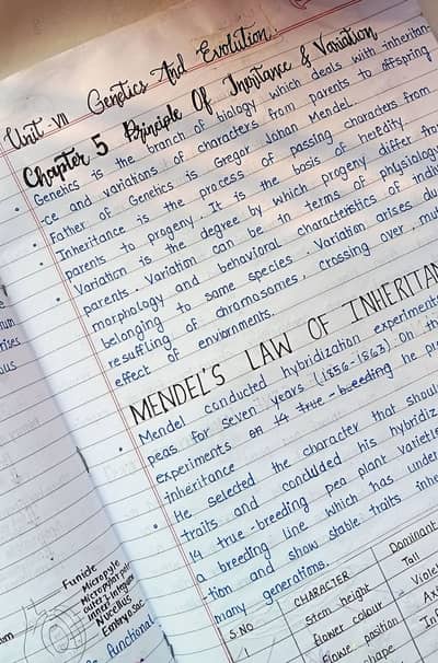 assignment writting