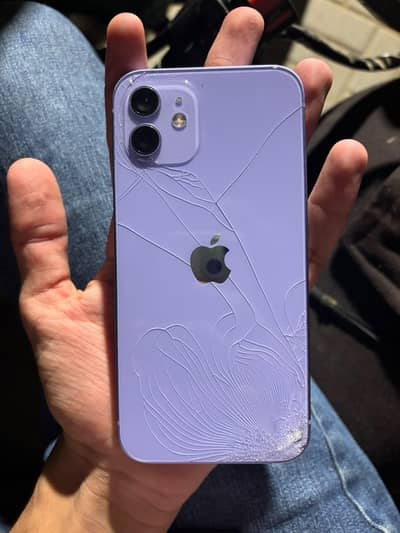 Apple iPhone 12