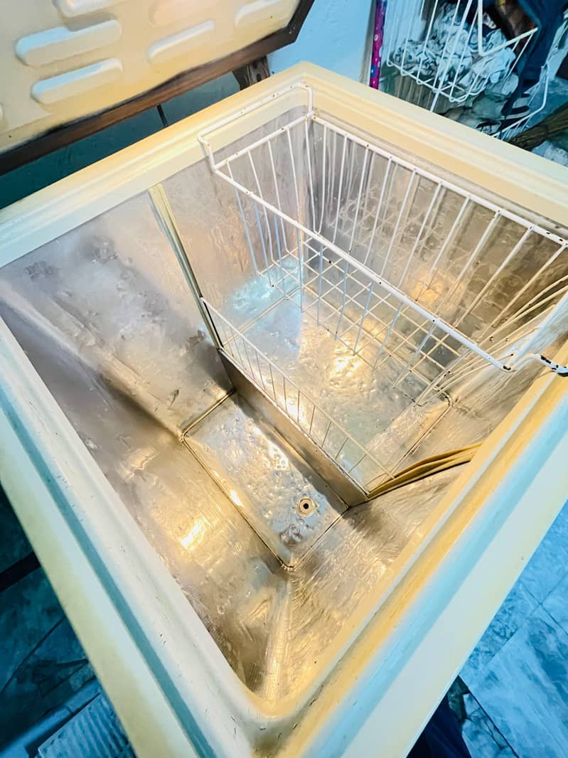 Deep Freezer 1