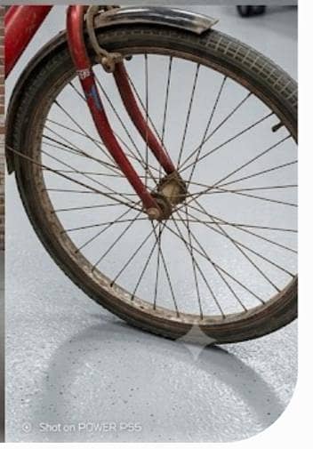normal bisycle 1