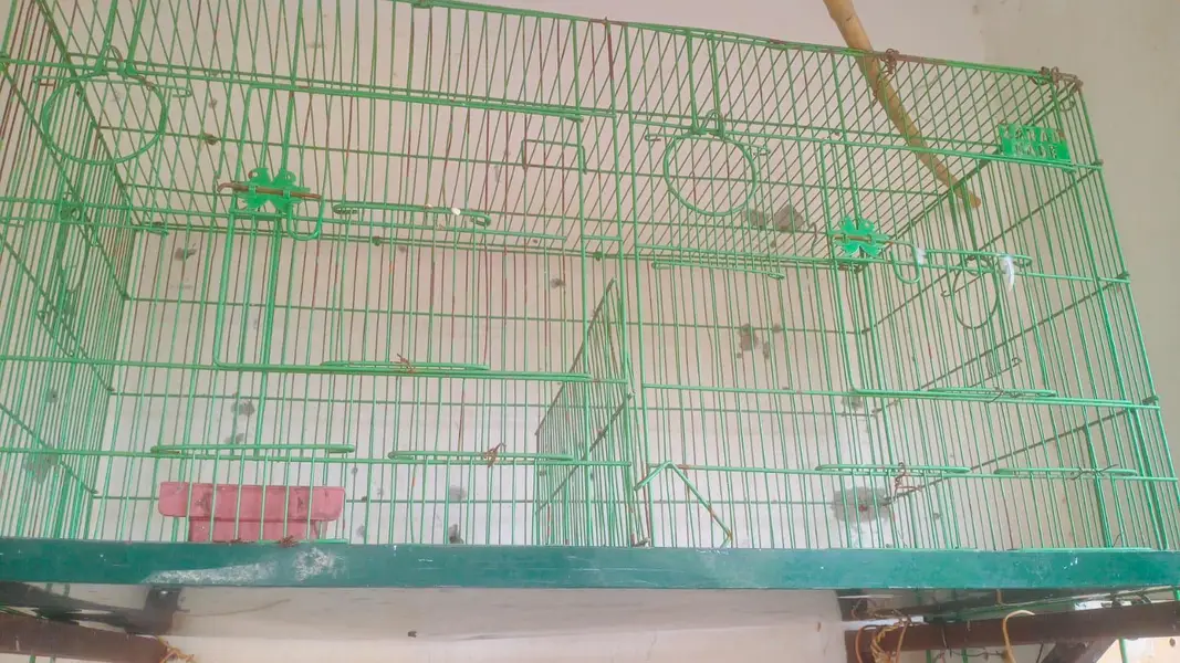 Iron Cage — photo 2