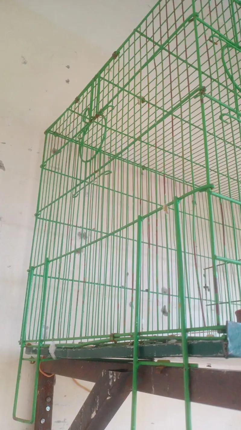 Iron Cage — photo 3