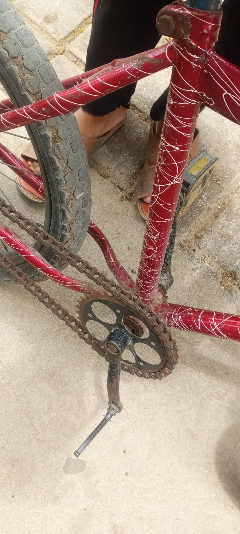 alter cycle 4