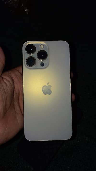 Apple iPhone 13 Pro