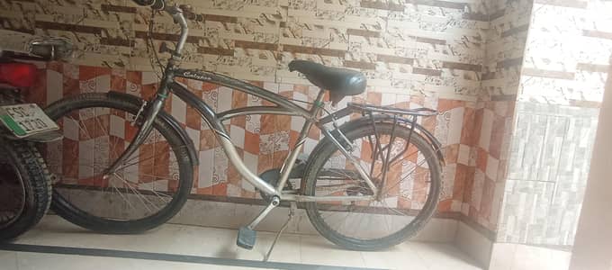 trek bicycle