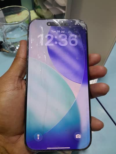 Apple iPhone 16 Pro Max