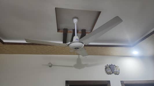 Fan for Sale