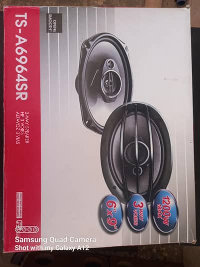 Pioneer TS-A6964R Car Woofer 6×9
