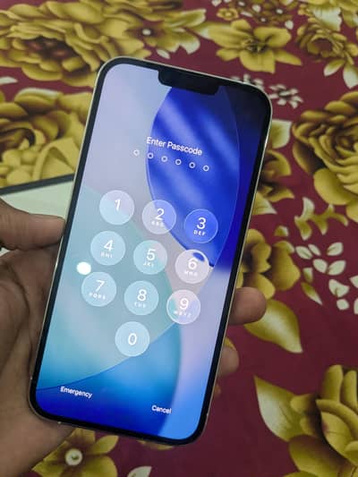 Apple iPhone 13 Pro Max