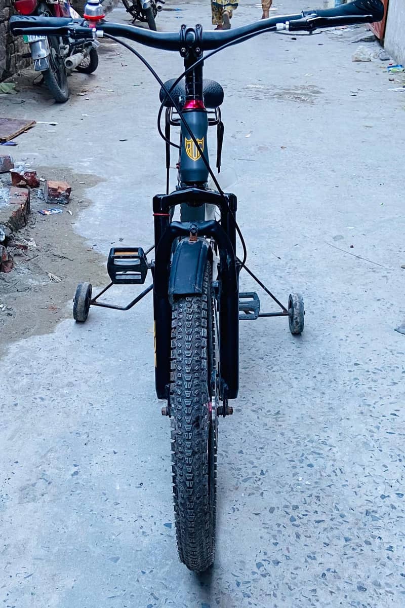 bicycle 2