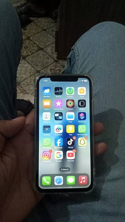 Apple iPhone X