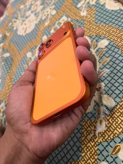 Apple iPhone 11 converted 17 pro max