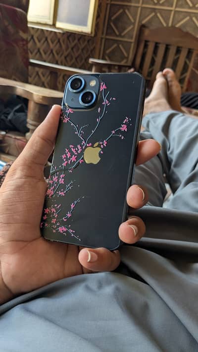 Apple iPhone 13 Factory Unlock