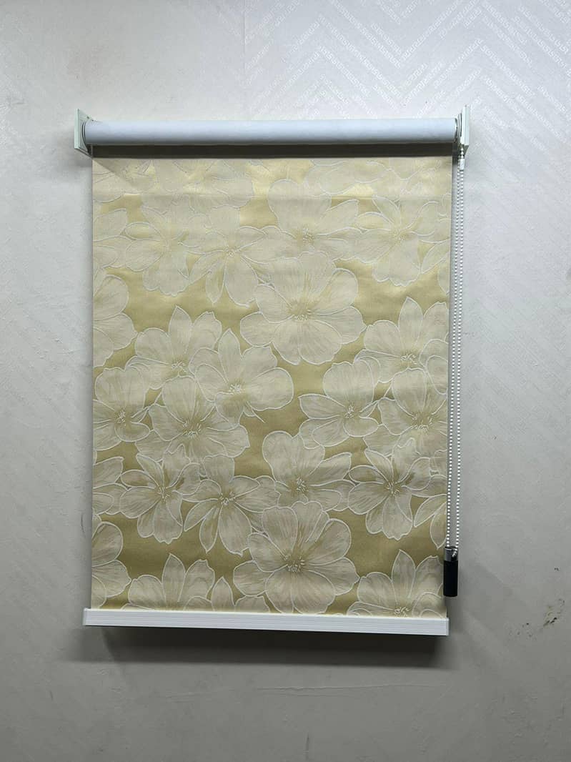 roller window blinds 2