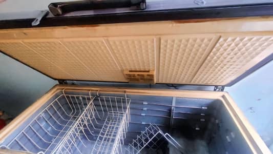 Double Door Commercial Freezer – Excellent Cooling | 9/10 Condition
