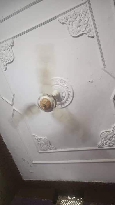 celing fan