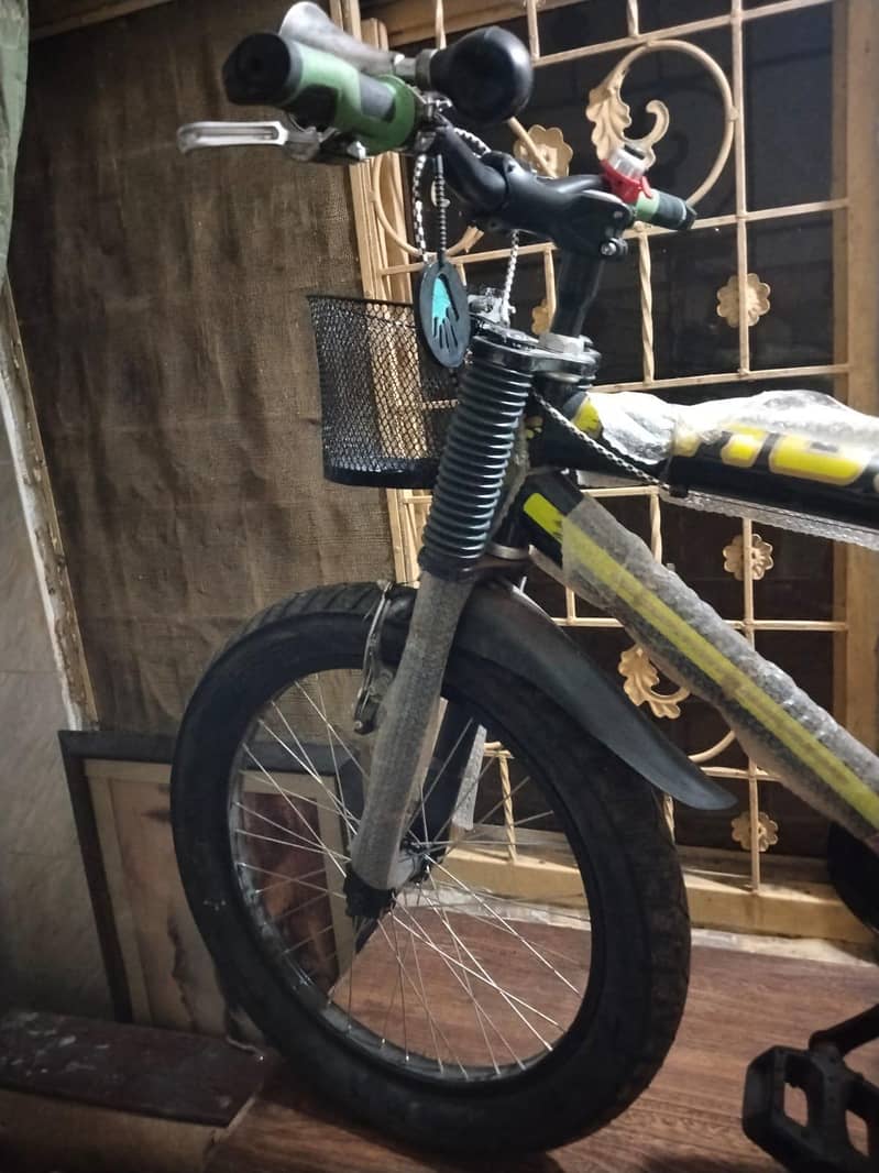bicycle 2