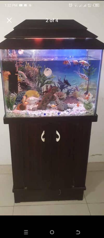 Aquarium for sale