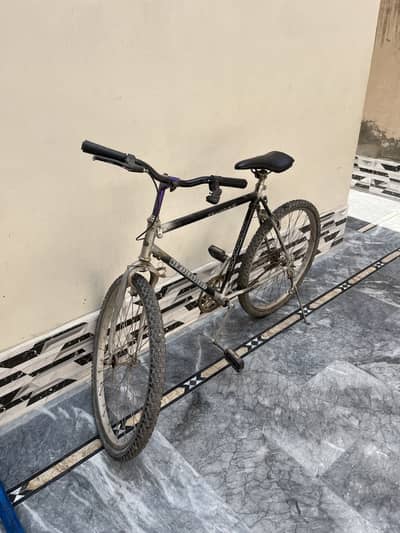 Cycle