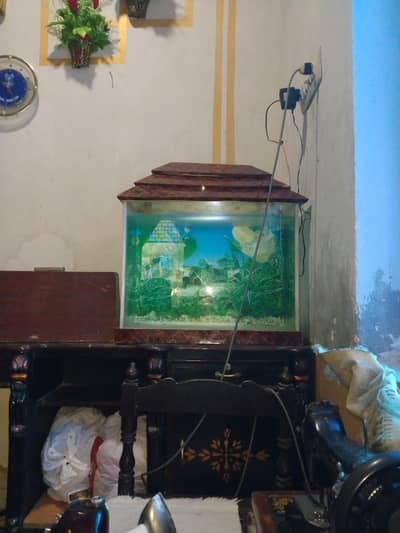 aquarium original sale