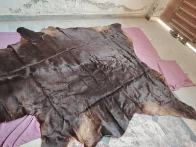 Real cowhide rug