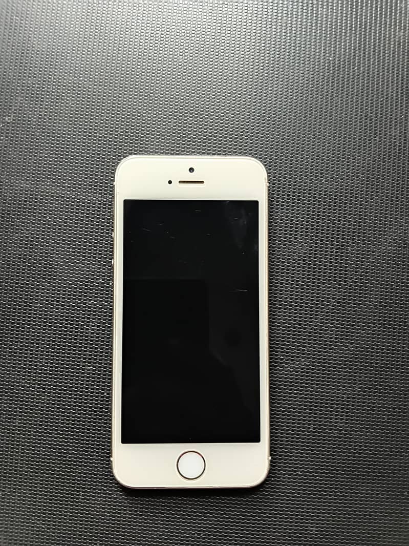 Apple iPhone 5s 1