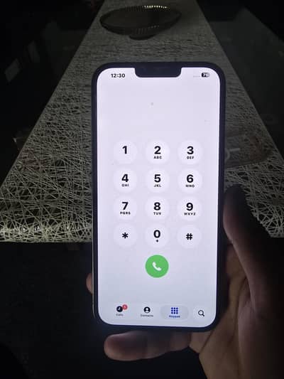 Apple iPhone 13 Pro Max