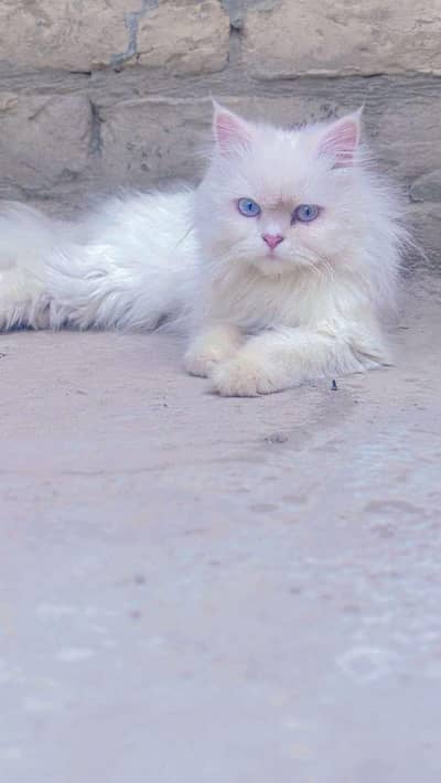 blue eyes female