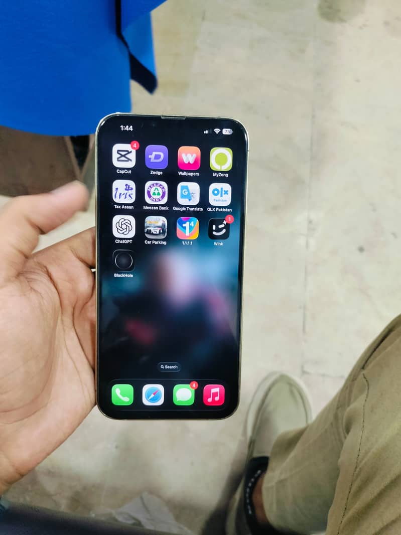 Apple iPhone 13 Pro Max 1