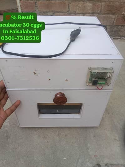 30 Egg's incubator