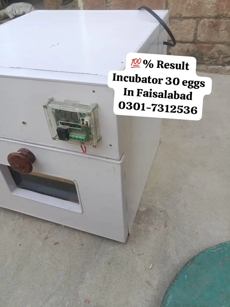 30 Egg's incubator — photo 2