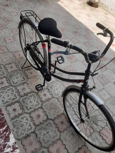 japani cycle