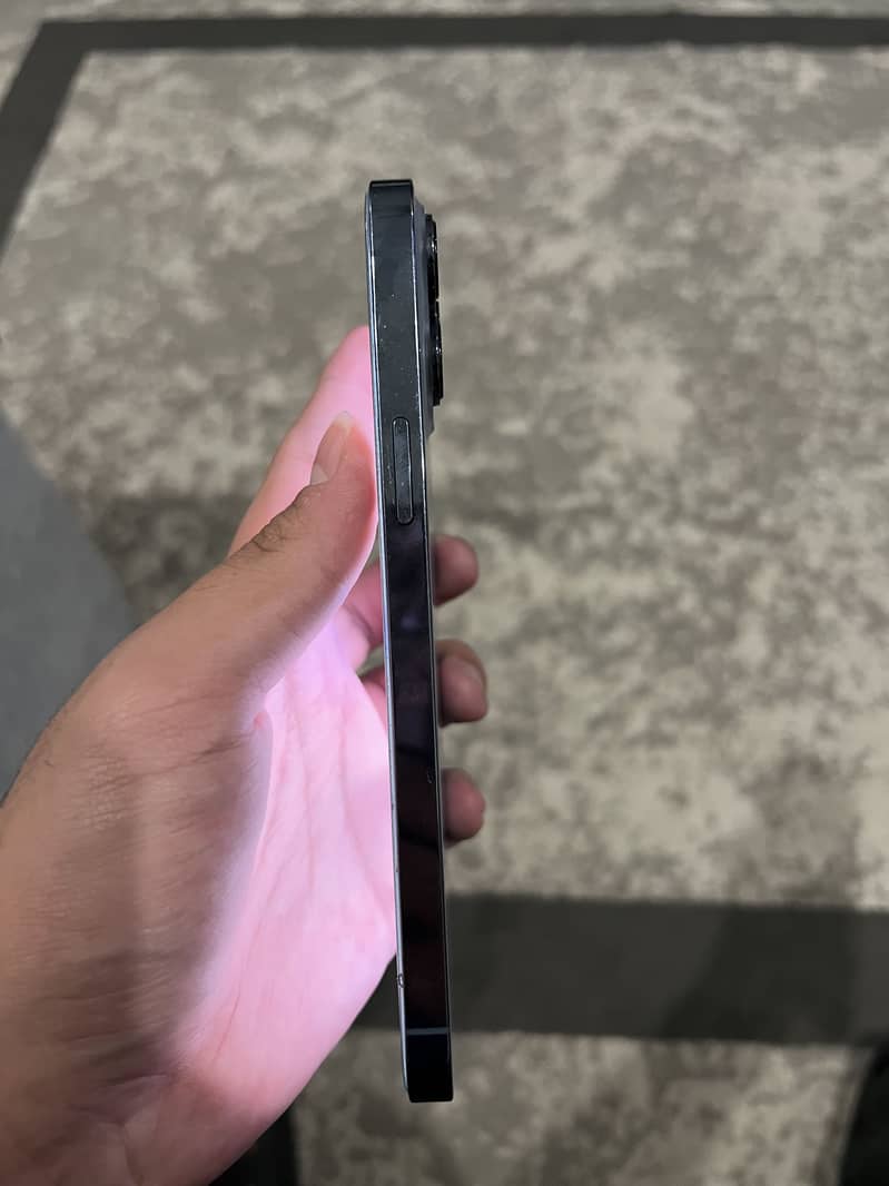 Apple iPhone 13 Pro Max 1