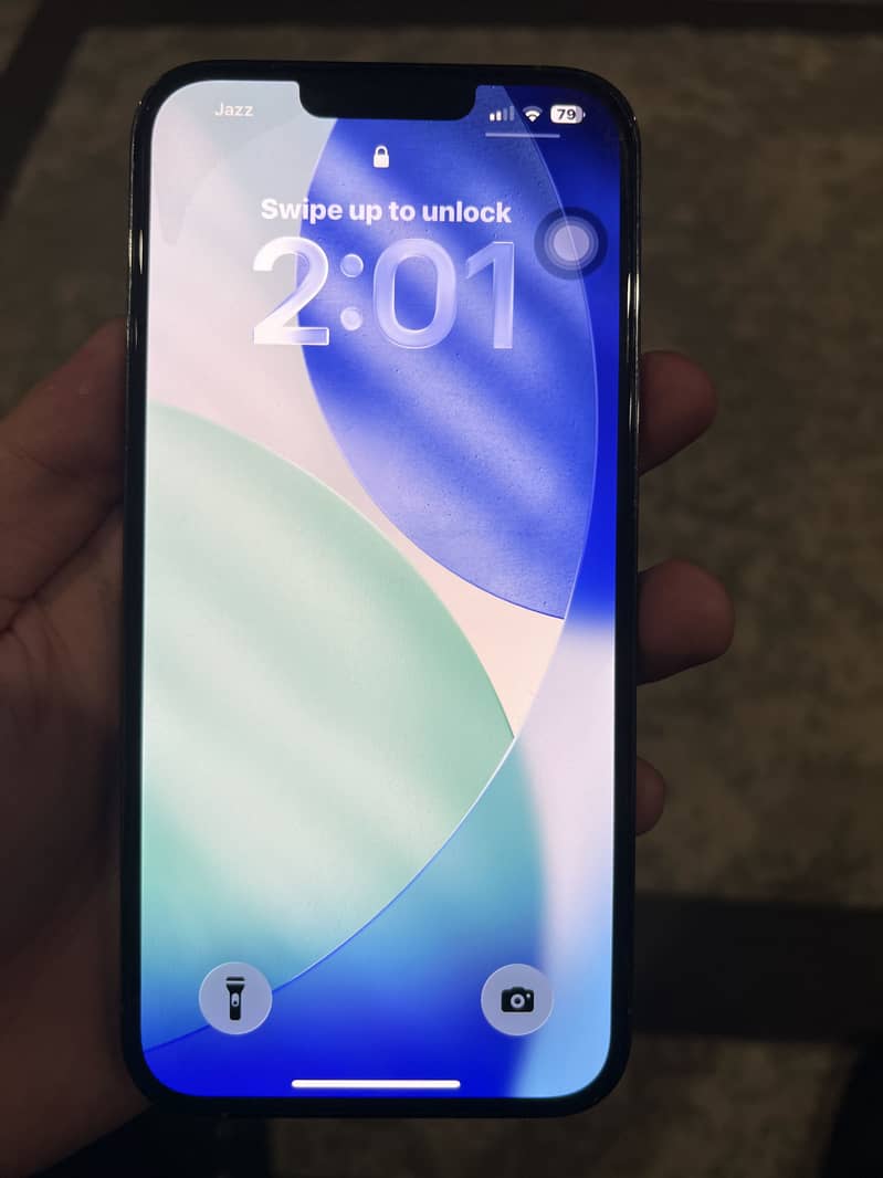 Apple iPhone 13 Pro Max 2