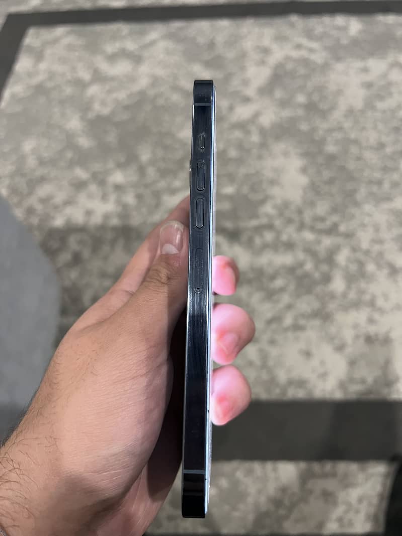 Apple iPhone 13 Pro Max 3