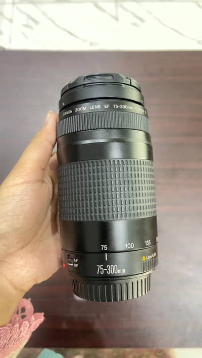 Canon 75-300mm