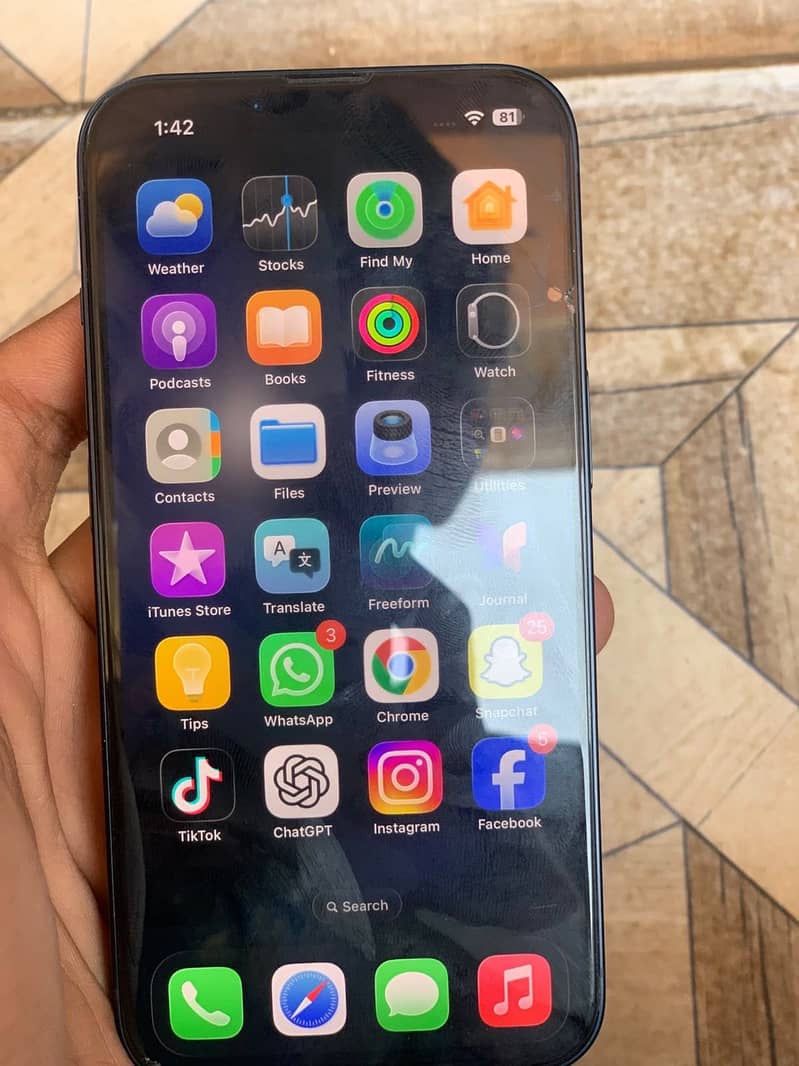 Apple iPhone 13 0